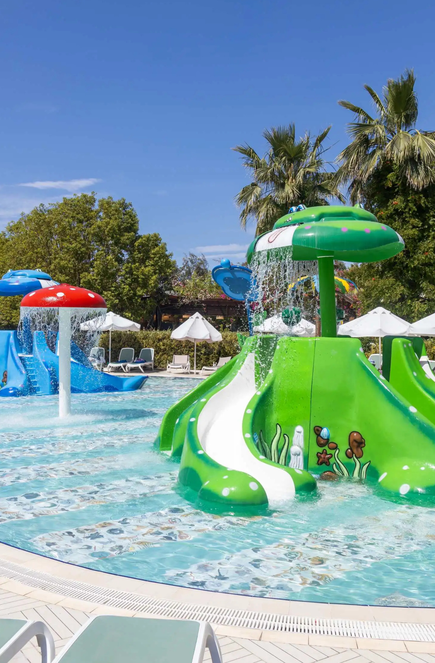 Aquapark fotoğraf 3